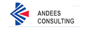 Andees Consulting